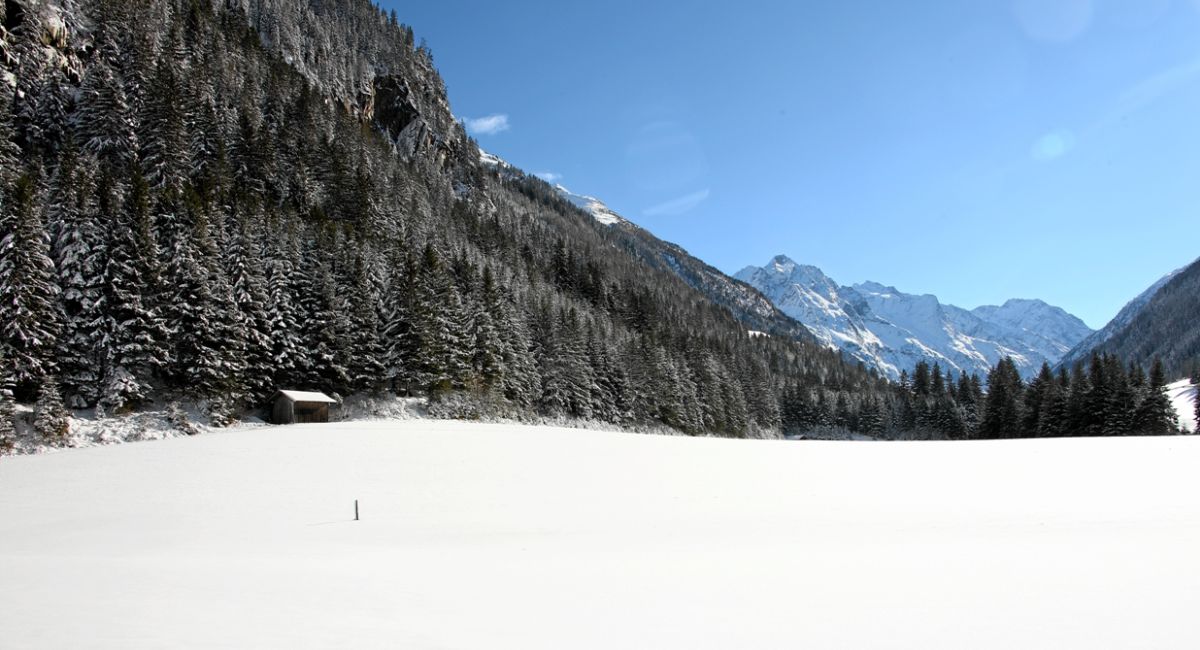 bild 24